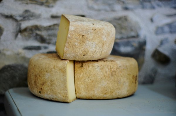 How can you participate in a traditional British cheese-making workshop in Somerset?